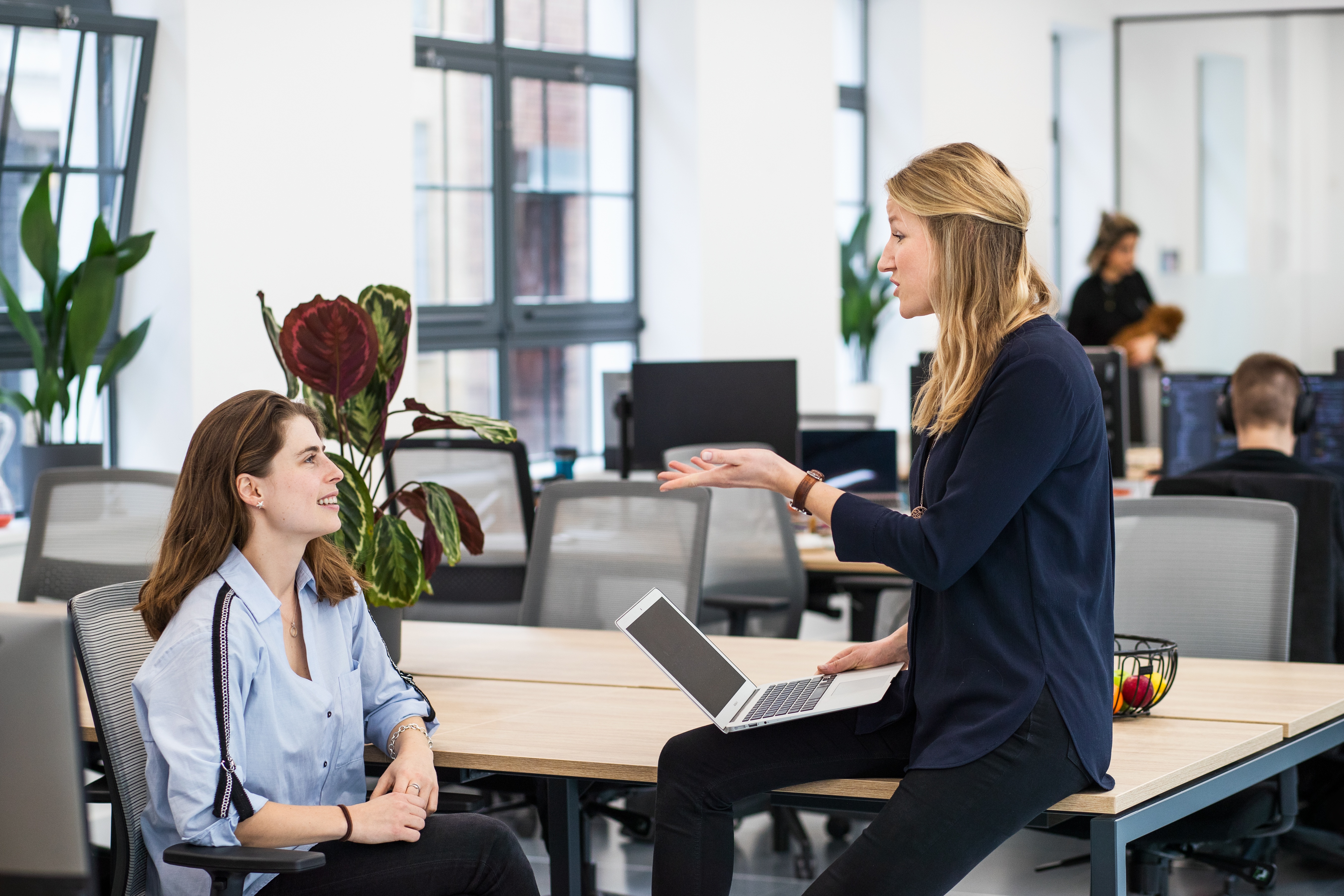 Two women discussing business in an office setting